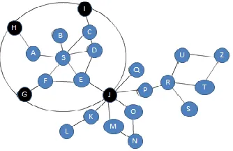 Fig.11:- IERP Request packet format of node S. 