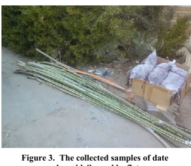Figure 1. Palm structure [http://www.biotech-ecolo.net, Date palm (Phoenix dactylifera L.).[Cited 2013] Available from:] 