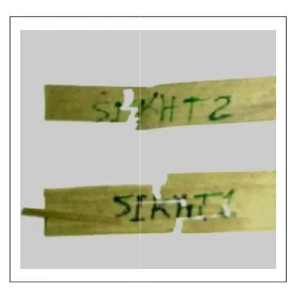 Figure 21. Comparison between tensile Young’s modulus for the Figure 21. Comparison between tensile Young’s modulus for the three species of date palm green leaflets three species of date palm green leaflets