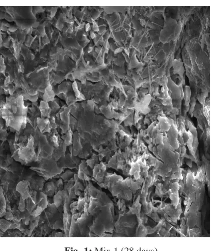 Fig -1: Mix 1 (28 days) 