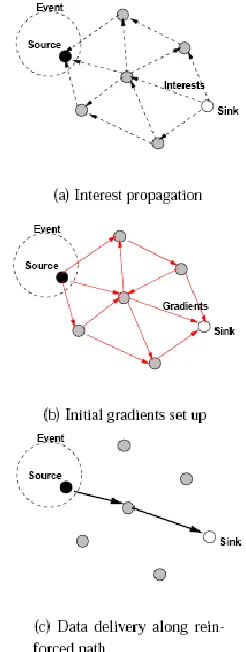 Figure 5.2 A simplified schematic for directed diffusion.  