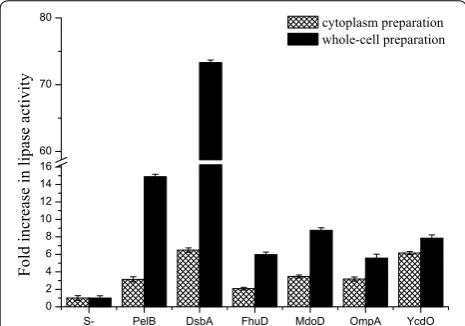 Fig. 5 Comparison of the lipase activity of cytoplasmic protein preparation and whole-cell preparation