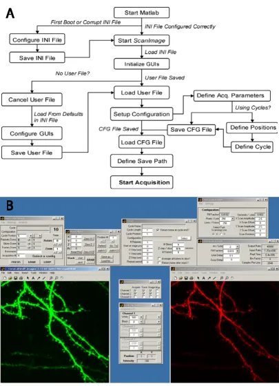 Figure 4Flowchart and Screenshot of ScanImage A) ScanImage uses a series of text files to remember configurations for different microscopes, users, and experimental configurations