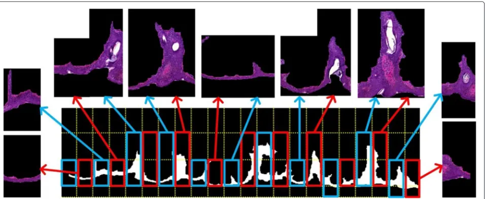 Fig. 12 Example of generated image tiles. Note that rectangles mark the interested image tiles for further processing