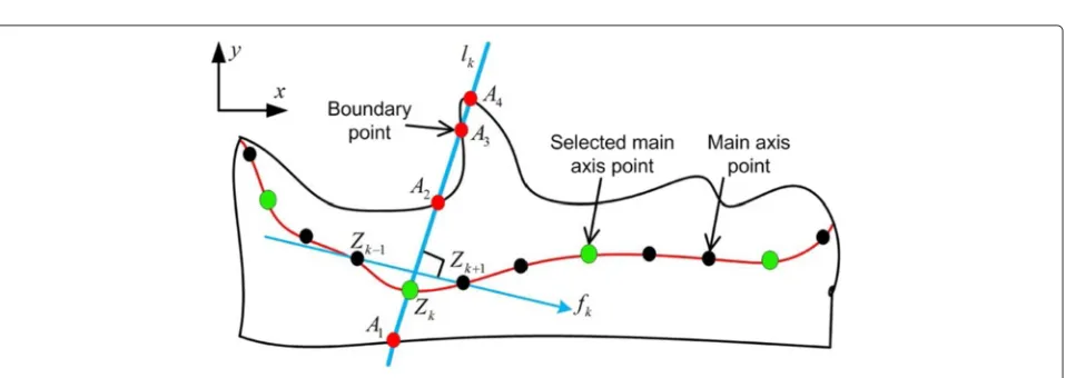 Fig. 8 Example of epidermis local thickness measurement