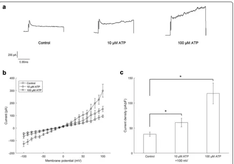 Fig. 1 Membrane currents recorded with 293TX cells.current densities at + 100 mV. Current densities with control, 10 a Actual current traces