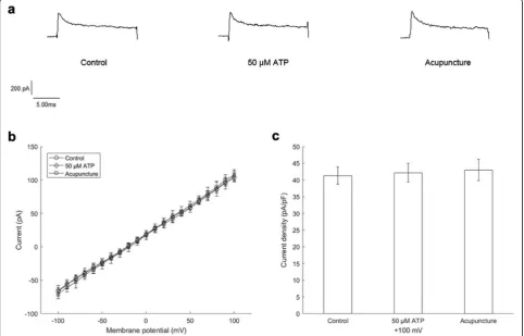Fig. 2 Membrane currents recorded with 293 T cells. a Actual current traces. b Summarized data of current-voltage relations