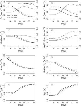 Fig. 4. Simulation of the effect of a dry-down on whole-plant ﬂuxes and water balance under ambient and elevatedperformed for a single tree with 35 m(for the sunlit leaves (above which 50 % of water is taken up)