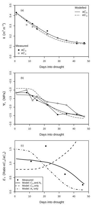 Fig. 6. Application of MAESPA to an experiment on droughtedcherry seedlings by Centritto et al