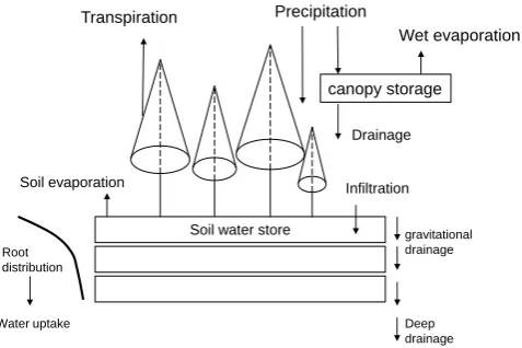 Fig. 1. Flowchart of MAESTRA, the above-ground model of the MAESPA model. Radiative transfer is calculated to a number of gridpoints(typically 72) in each target tree, which is used to drive the stomatal conductance and photosynthesis submodels