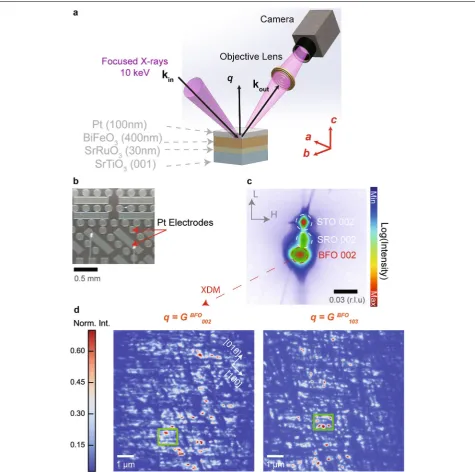 Fig. 1 X‑ray diffraction imaging of buried ferroelectric domains in a micro‑capacitor configuration