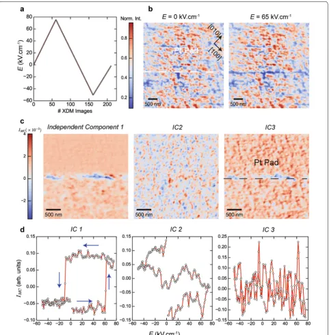 Fig. 2 Imaging the ferroelectric switching of BiFeOThe between two regions of the film with opposite out‑of‑plane polarization vectors produces amplitude contrast (negative) in diffraction imaging