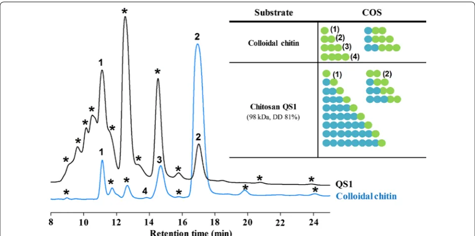 Fig. 4 HPAEC‑PAD analyses. Chromatograms of the 24 h reactions catalysed by Chit42 with chitosan QS1 (black) and colloidal chitin (blue) as substrates