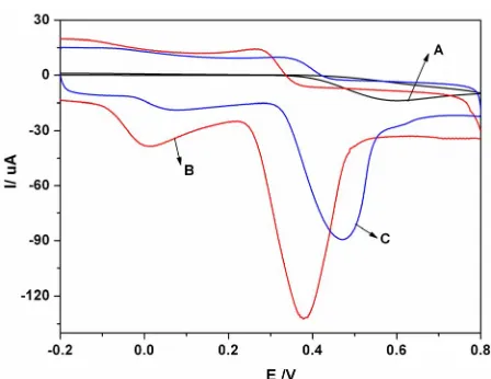 Figure 5. Cyclic voltammograms for the mixture of 1.0 × 10−3 mol·L-1 of AA and 1.0 × 10−3 mol·L-1 of UA in 0.1 mol·L-1 pH 7.0 PBS at (A) the bare GCE, (B) SWCNTs-β-CD/GCE, (C) SWCNT /β-CD/GCE