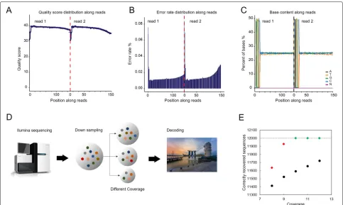 Fig. 3 Sequencing result analysis and data recovery. (A) The quality value of each base position along the reads