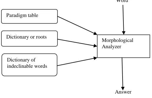 Table 1: Morphology 