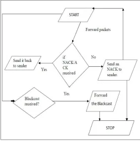 Figure 4. Flowchart for the sender node packet generation and transmission process 