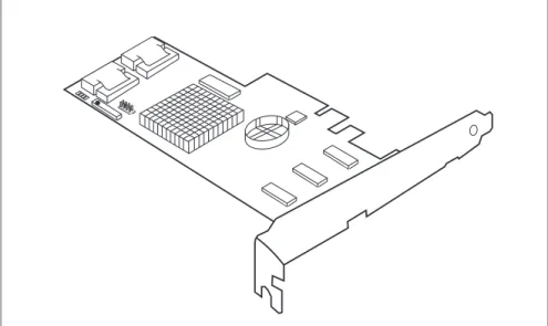 Figure 4: "RAID 5/6 SAS based on LSI MegaRAID" controller (1078)