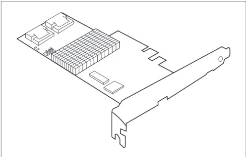 Figure 9: "RAID Ctrl SAS 6G 0/1 (D2607)" controller (based on LSI SAS2008)