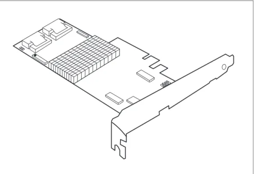 Figure 11: "RAID Ctrl SAS 6G 5/6 512 MB (D2616)" controller (based on LSI SAS2108)