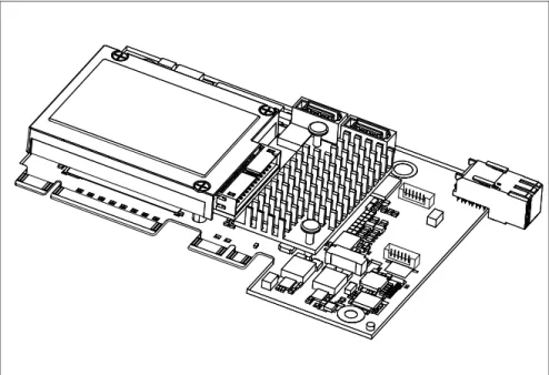 Figure 15: "PY SAS RAID Mezz Card 6 Gb (D3016)" with optional iBBU (based on LSI  SAS2108)