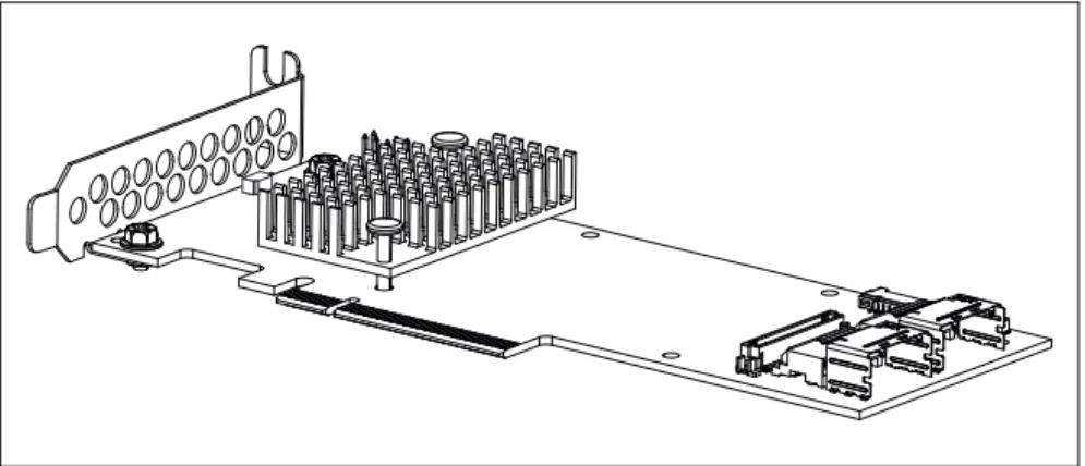 Figure 16: "RAID Ctrl SAS 6G 1GB (D3116)" controller (based on LSI SAS2208)