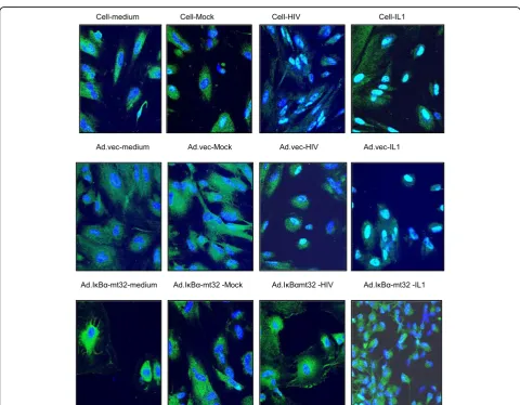 Fig. 4 C3 induction by HIV in HFA requires activation of NF-κB. HFA were treated as indicated and a assayed for translocation of NF-κB into thenucleus by ELISA or b assayed for C3 promoter activity in the presence of adenovirus control vector or vector of 
