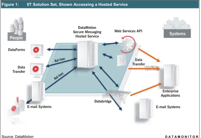 Figure 1:  IIT Solution Set, Shown Accessing a Hosted Service  