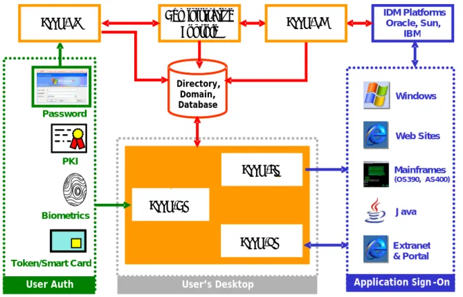 Figure 1 ESSO-LM architecture at a glance User’s DesktopDirectory, Domain, Database Application Sign - OnUser AuthBiometricsToken/Smart CardPKIPasswordWindowsWeb SitesExtranet &amp; PortalMainframes (OS390,  AS400)JavaAdministrative Console IDM Platforms  