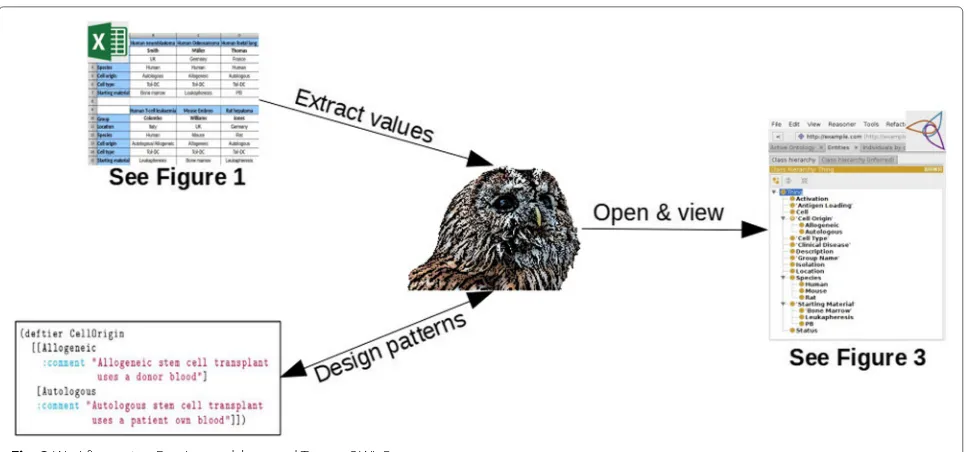 Fig. 2 Workflow using Excel spreadsheet and Tawny-OWL Patterns