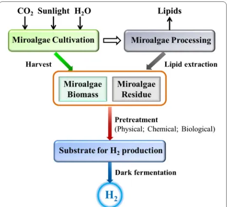 Fig. 2 Roadmap from microalgae to hydrogen