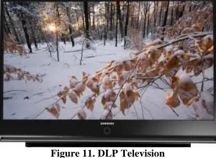 Figure 12. Actual close-up photographs of both (a), an LCD- projected image, and (b), a DLP-projected image