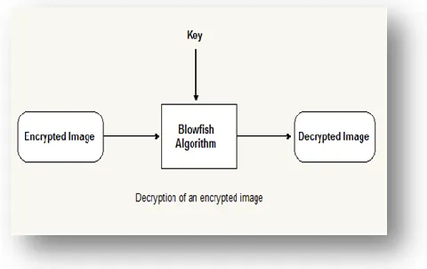 Figure 2: Decryption of image using Blowfish Algorithm 