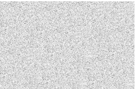 Figure 8: Image before Watermarking (450 x 300)  