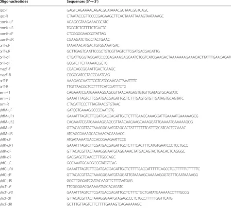 Table 2 Oligonucleotides used in this study