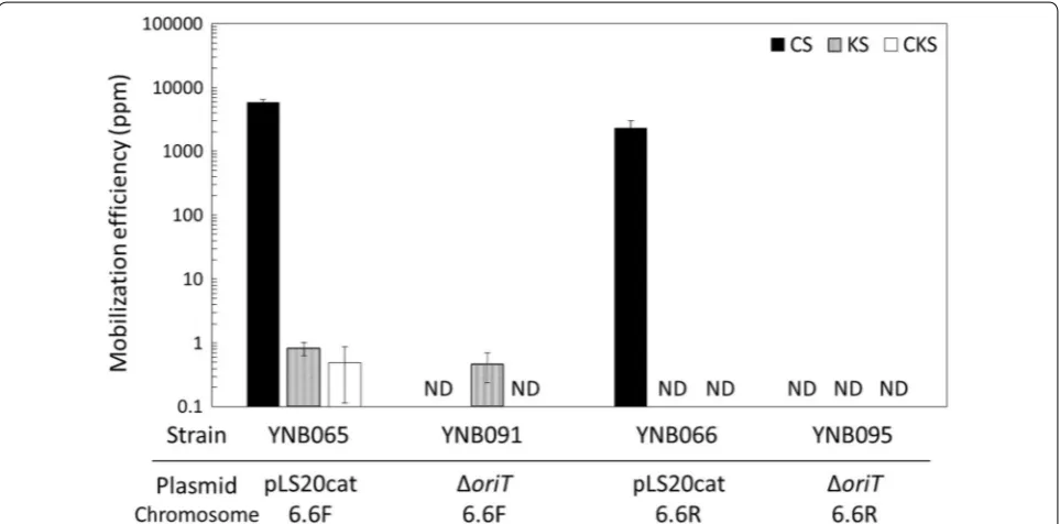 Fig. 3 Mobilization efficiencies of the kanamycin resistance gene at the aprE locus and the helper plasmids, pLS20cat and pLS20catΔoriT