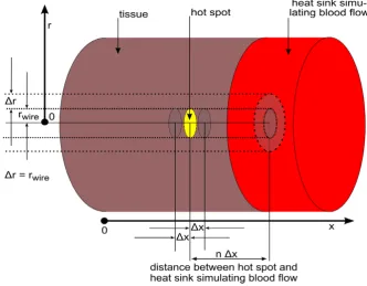 Figure 3Definition of the heat sink used for the simulation of blood flow inside a vessel close to the hot spotDefinition of the heat sink used for the simulation of blood flow inside a vessel close to the hot spot