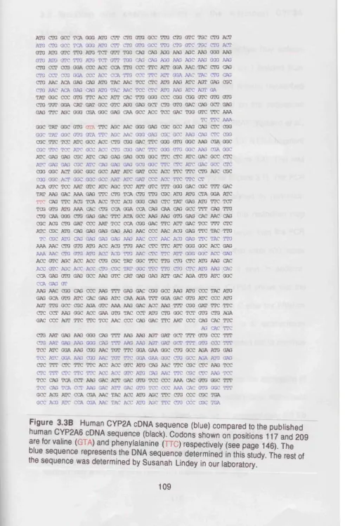 Figure 3.3B Human CYP2A cDNA sequence (blue) compared to the published 