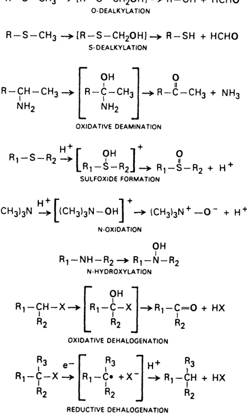 Figure 1.1 Examples of reactions catalyzed by cytochromes P450 (Reproduced from Nebert and Gonzalez; 1987)