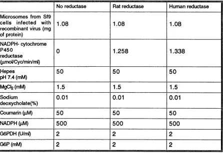 Table 1 Composition of reaction mixtures for the experiment on effect of adding exogenous NADPH-cytochrome P450 reductase on COH activity of baculovirus expressed CYP2A6.