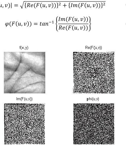 Figure 1: Frequency domain components of a sample image  
