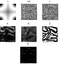 Figure 2: Phase symmetry components of a sample image  