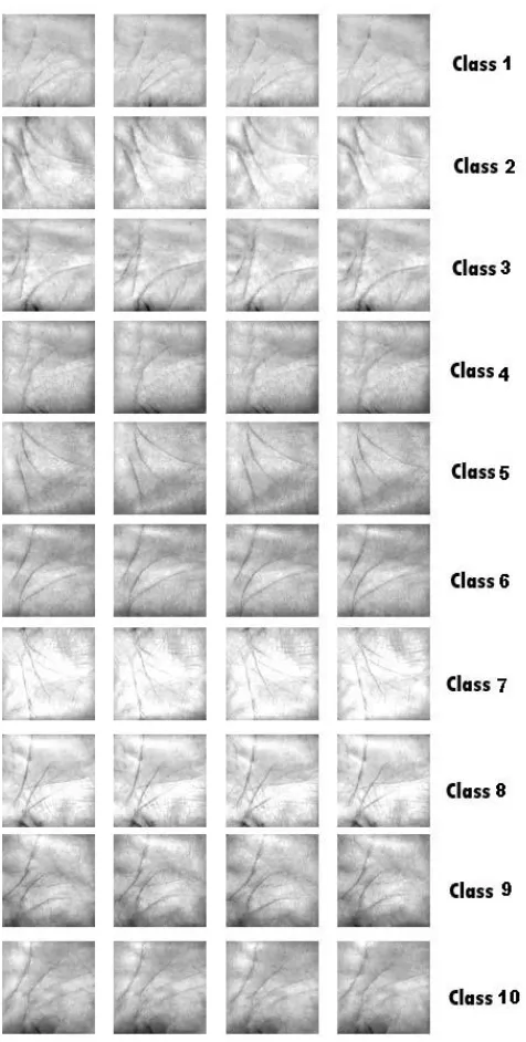 Figure 4: Samples of Testing set images   