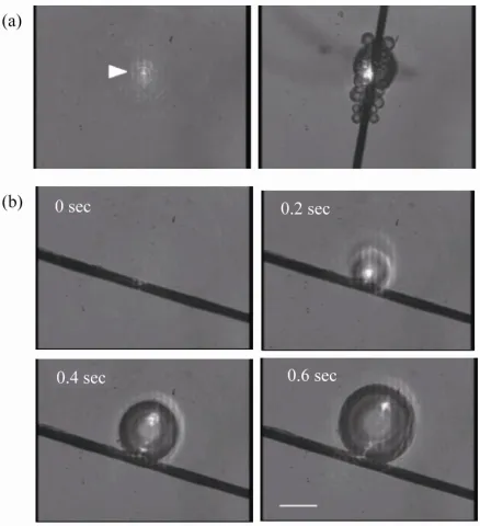 Figure 1. Calibration of laser intensity. The x-axis represents the laser intensity displayed on the device panel and controlled by the users
