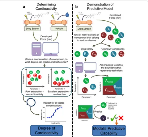 Fig. 4 Machine learning for drug screening on human iPSCs-derived engineered cardiac tissue.based on concentration of cardioactive compounds compared to the binary support vector machine (SVM)