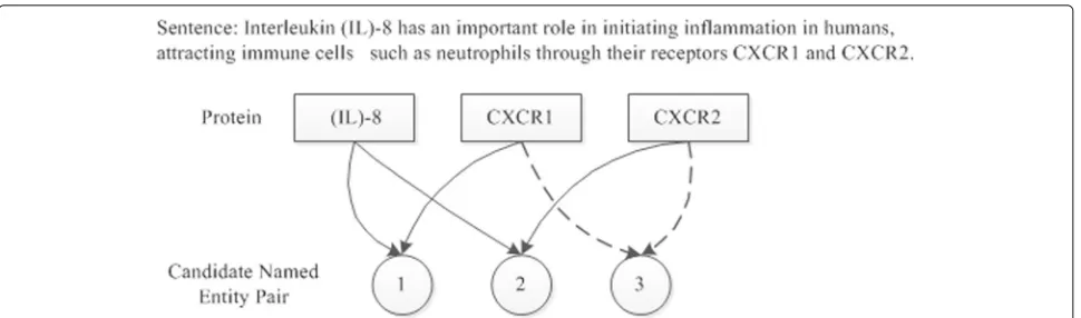 Fig. 1 Sampling example of protein interaction (The PMID of the literature where the sentence is found is 23041326, and PMID refers to the retrievalnumber biological literature coded by PubMed)
