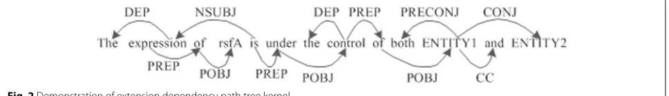 Fig. 2) using “The expression of rsfA is under the con-trol of both ENTITY1 and ENTITY2.” as example