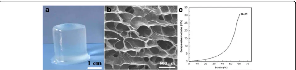 Fig. 8 Original photograph (a), SEM image (b), and compressive stress-strain curve (c) of cellulose/SA hydrogel [139] SEM: scanning electronmicroscopy; SA: sodium alginate