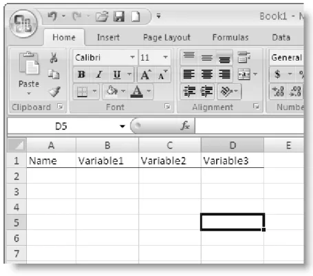 Figure 1.3 Worksheet prepared for data entry