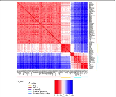 Fig. 3 Distribution of the number of polymorphic markers found in pairwise comparisons across the five rice subgroups: indica, aus, aromatic,temperate japonica and tropical japonica